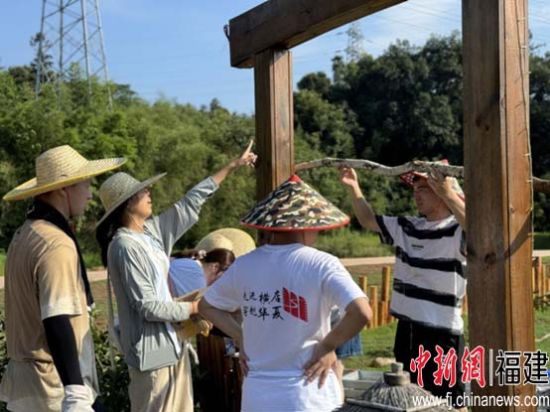 图为两岸学子在实践现场动手合作。 三明学院建筑工程学院供图